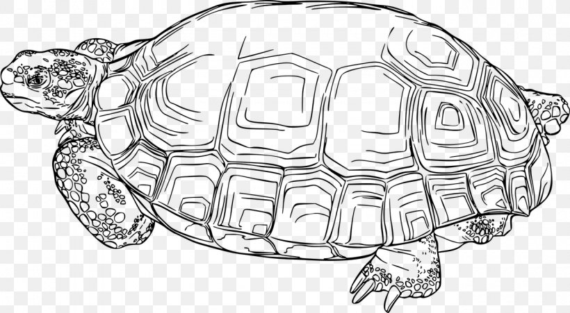Tortoise Sea Turtle Reptile Box Turtles, PNG, 1280x704px, Tortoise, Animal, Art, Artwork, Black And White Download Free