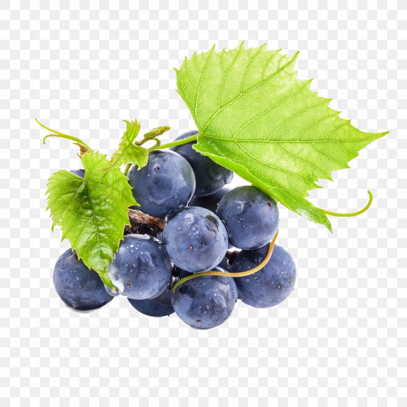 Wine Oolong Grape Seed Extract Proanthocyanidin, PNG, 2953x2953px, Wine, Berry, Bilberry, Blueberry, Blueberry Tea Download Free