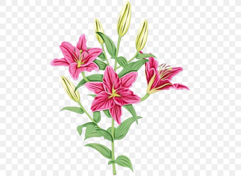 Flower Flowering Plant Lily Plant Stargazer Lily, PNG, 483x600px, Watercolor, Cut Flowers, Flower, Flowering Plant, Lily Download Free