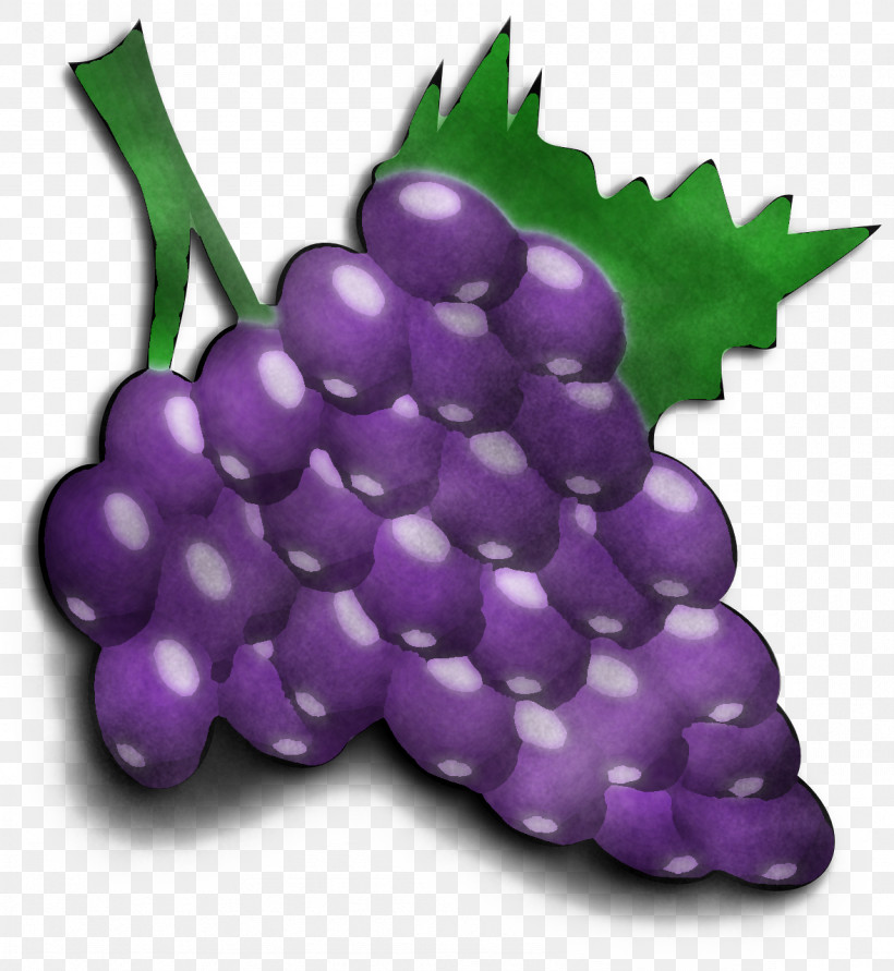Grape Grapevine Family Purple Fruit Plant, PNG, 1178x1280px, Grape, Food, Fruit, Grapevine Family, Plant Download Free
