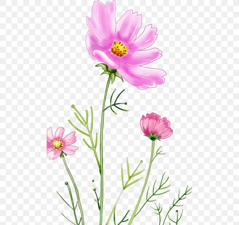 Graphic Design Drawing, PNG, 500x771px, Drawing, Annual Plant, Aster, Blog, Cartoon Download Free