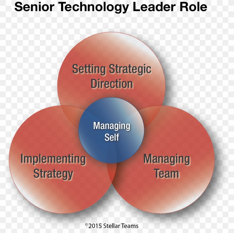 Organization Strategic Leadership Competence Leadership Development, PNG, 1498x1490px, Organization, Brand, Business, Business Plan, Coaching Download Free