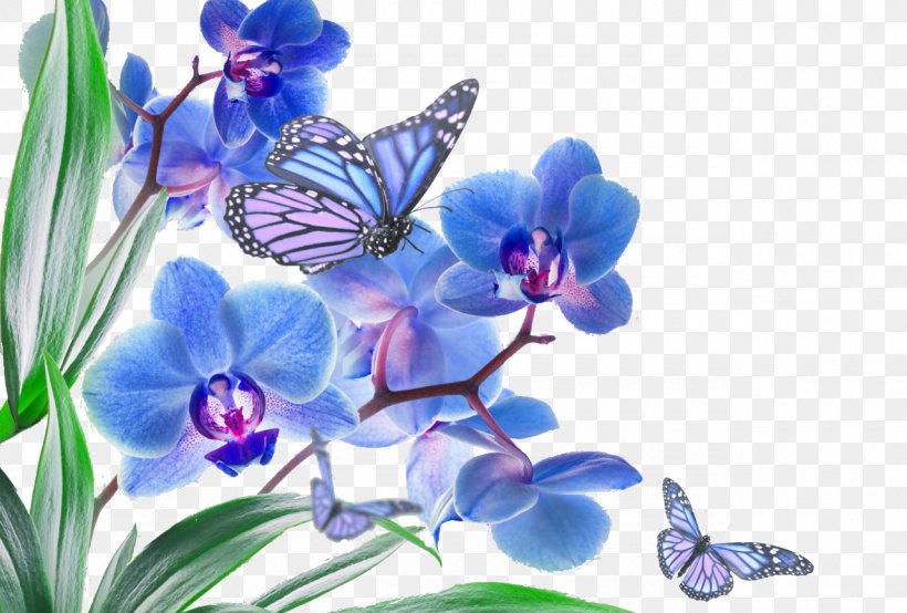 Butterfly Pink Flowers Orchid Blue, PNG, 1280x865px, Butterfly, Blue, Brush Footed Butterfly, Butterfly Gardening, Flora Download Free