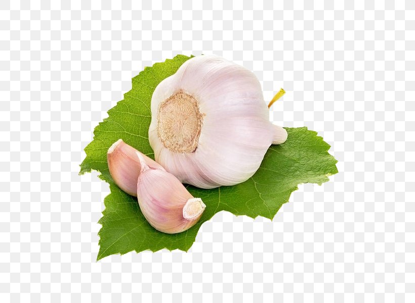 Garlic Download Vegetable, PNG, 600x600px, Garlic, Condiment, Flower, Green, Onion Download Free