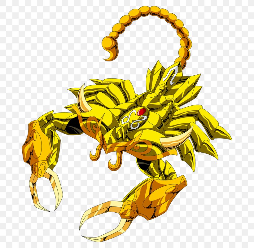 Scorpion Saint Seiya: Knights Of The Zodiac Leo Aiolia Pegasus Seiya, PNG, 720x800px, Watercolor, Cartoon, Flower, Frame, Heart Download Free