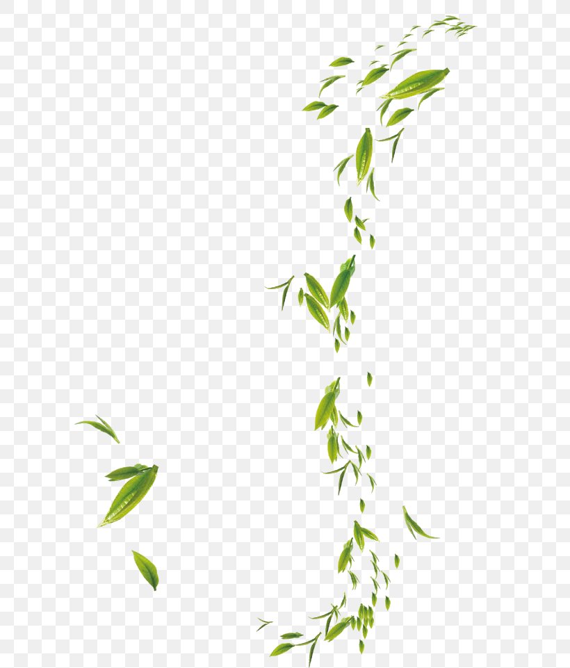 Bamboo Adobe Photoshop Battery Charger Leaf, PNG, 738x961px, Bamboo, Battery Charger, Branch, Flora, Flower Download Free