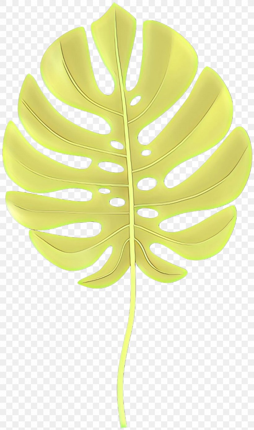 Coconut Tree Drawing, PNG, 1772x3000px, Cartoon, Art, Botany, Coconut, Drawing Download Free