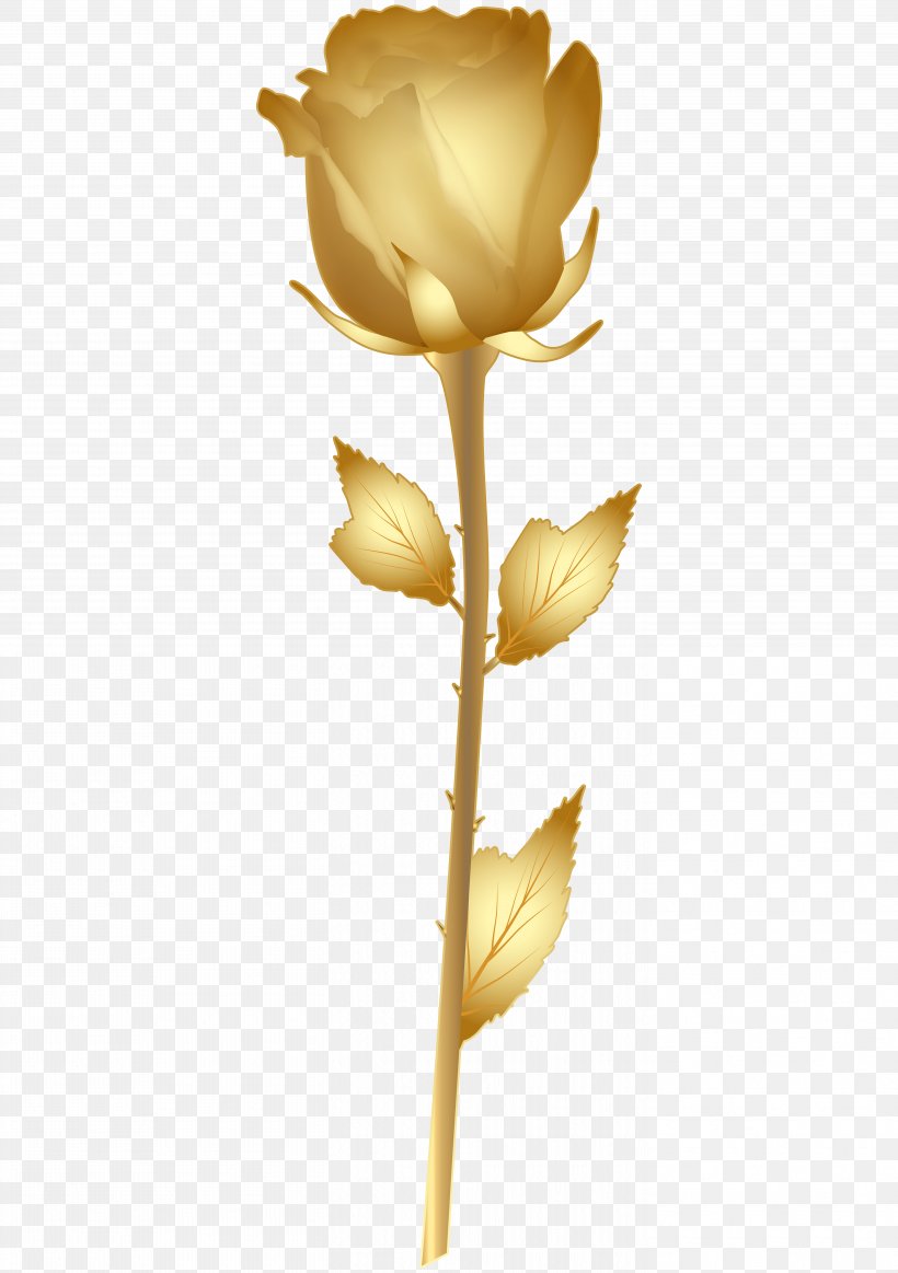 Gold Rose Clip Art, PNG, 5638x8000px, Graphic Frames, Blue Rose, Cut Flowers, Flower, Flowering Plant Download Free