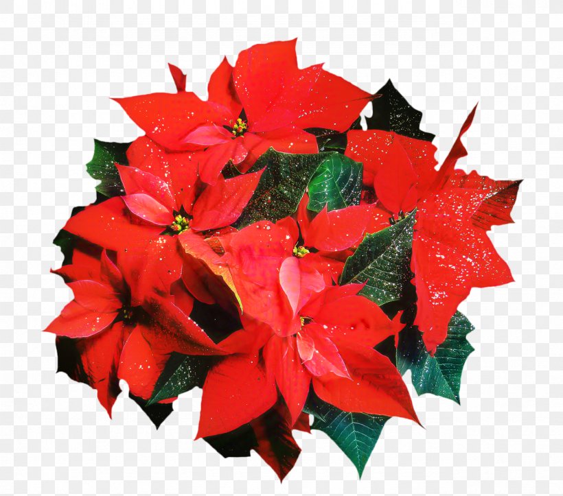 Poinsettia Cat Holiday Plants Christmas Day, PNG, 1279x1129px, Poinsettia, Artificial Flower, Cat, Christmas And Holiday Season, Christmas Day Download Free