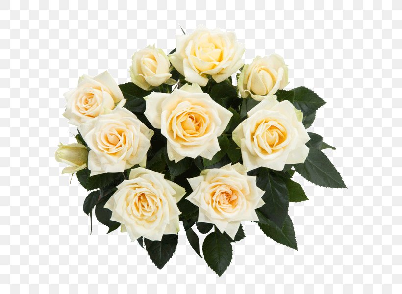 Garden Roses Cabbage Rose Floribunda Cut Flowers, PNG, 600x600px, Garden Roses, Artificial Flower, Basket, Cabbage Rose, Cut Flowers Download Free