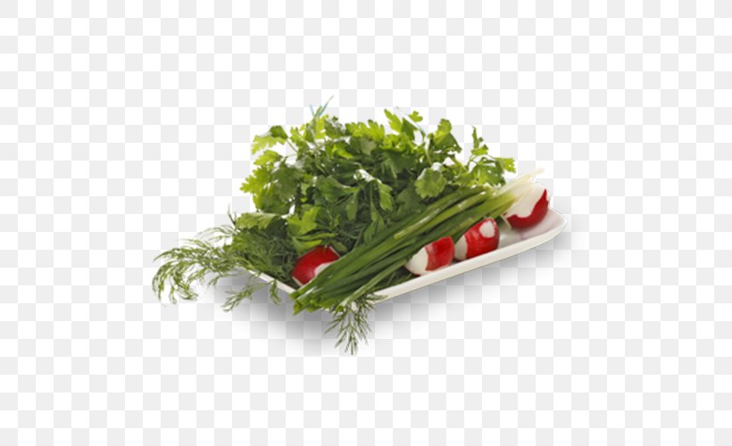 Leaf Vegetable Herb Khinkali Kharcho Sujuk, PNG, 500x500px, Leaf Vegetable, Bell Pepper, Diet Food, Dill, Food Download Free