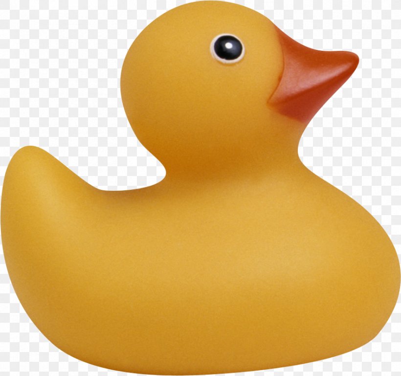 Rubber Duck Toy, PNG, 882x828px, Duck, Bathing, Bathroom, Bathtub, Beak Download Free