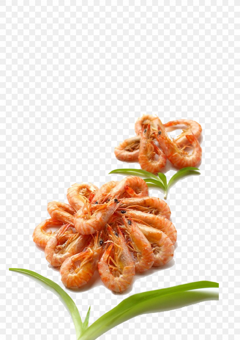 Caridea Barbecue Shrimp Roasting, PNG, 2480x3508px, Caridea, Animal Source Foods, Barbecue, Caridean Shrimp, Cuisine Download Free