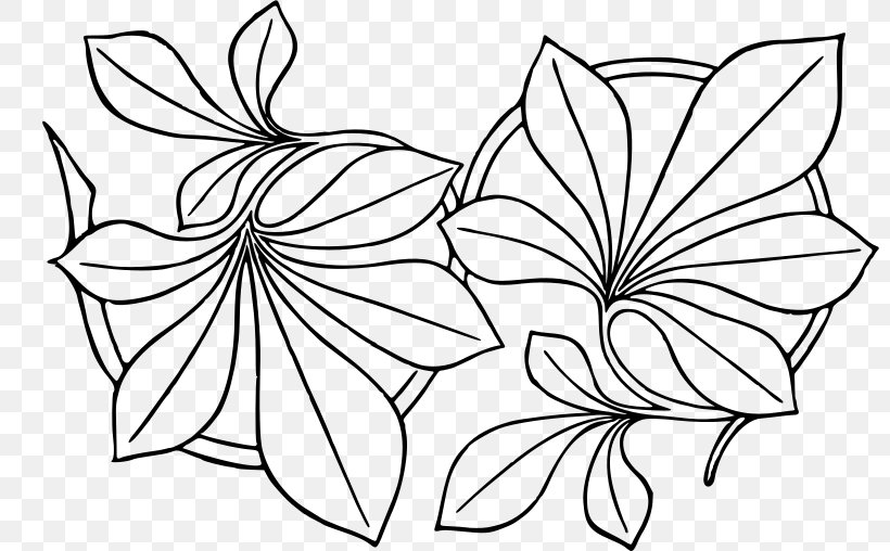 Icon Design Petal, PNG, 800x508px, Icon Design, Area, Artwork, Black And White, Drawing Download Free