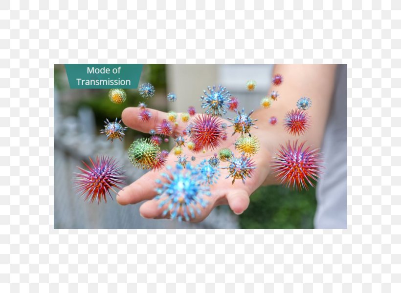 Disease Virus Health Stock Photography Hepatitis A, PNG, 600x600px, Disease, Bacteria, Flora, Flower, Health Download Free