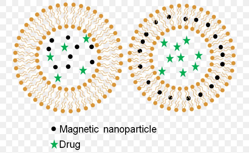 Drug Delivery Hyperthermie Magnétique Research Hyperthermia Therapy Magnetic Nanoparticles, PNG, 749x502px, Drug Delivery, Area, Diagram, Drug, Experiment Download Free