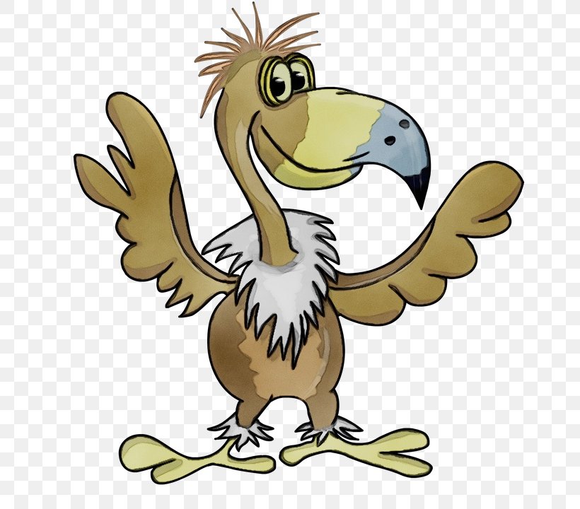 Eagle Bird, PNG, 720x720px, Watercolor, Accipitriformes, Animated Cartoon, Animation, Art Download Free