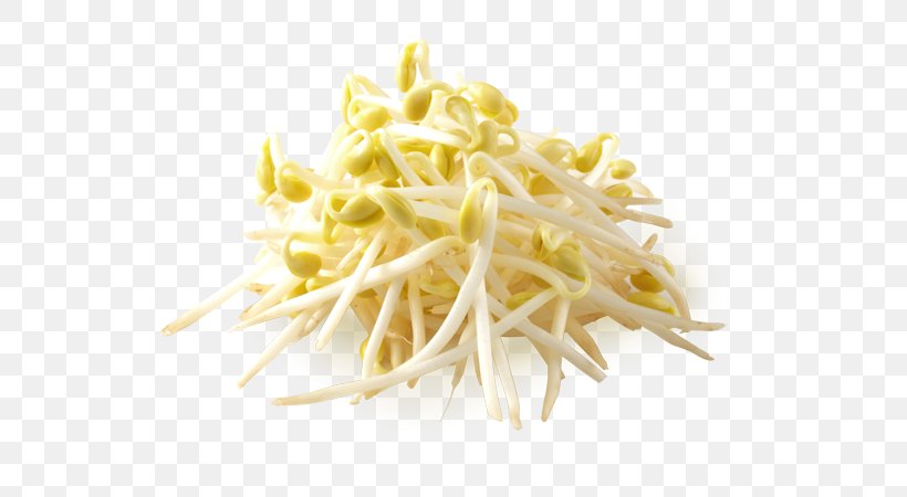 Bean Sprout Food Vegetable Seasoning Refrigeration, PNG, 600x450px, Bean Sprout, Alfalfa Sprouts, Bean Sprouts, Calorie, Commodity Download Free
