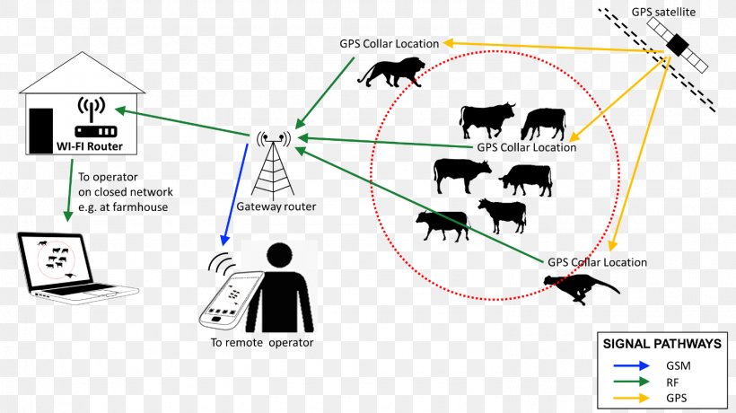 Line Technology Point, PNG, 1490x836px, Technology, Area, Diagram, Mode Of Transport, Organization Download Free