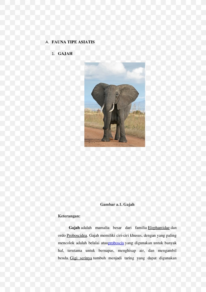 Indian Elephant African Elephant Atomic Nucleus Conceptual Physics Surface-area-to-volume Ratio, PNG, 1653x2339px, Indian Elephant, African Elephant, Atom, Atomic Nucleus, Conceptual Physics Download Free