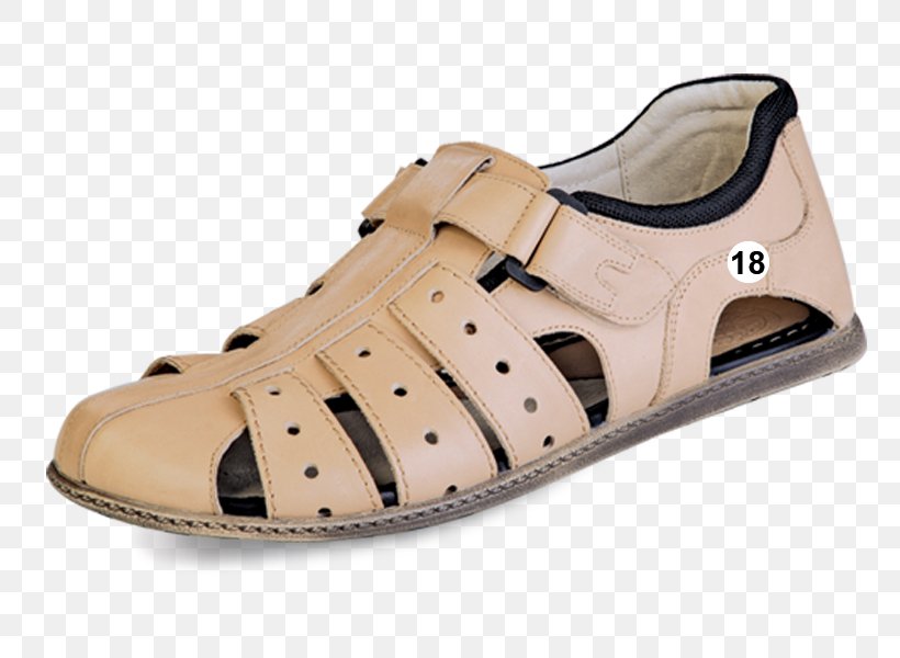 Sandal Oxford Shoe Footwear Podeszwa, PNG, 800x600px, Sandal, Artikel, Beige, Casual, Cross Training Shoe Download Free