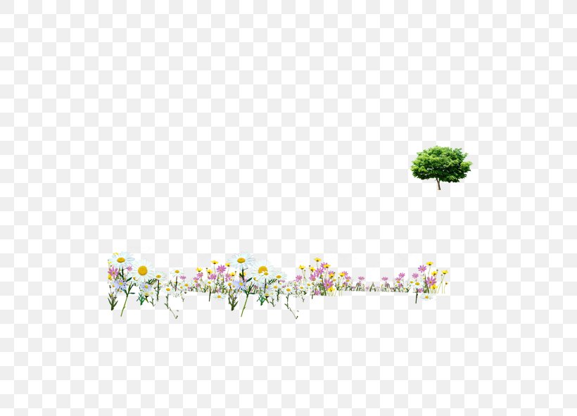 Download Icon, PNG, 591x591px, Flower, Area, Column, Google Images, Grass Download Free