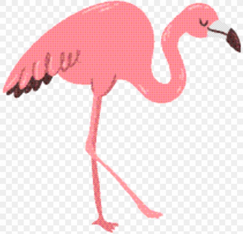 Flamingo Logo, PNG, 842x811px, Phoenicopterus, Animal, Beak, Bird, Cartoon Download Free