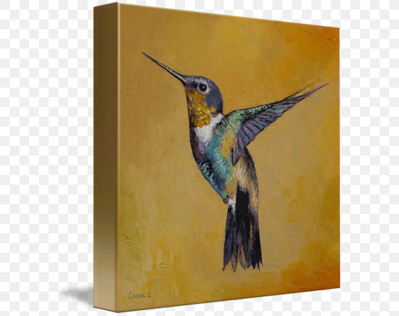 Hummingbird Watercolor Painting Canvas Print, PNG, 592x650px, Hummingbird, Acrylic Paint, Art, Artist, Beak Download Free