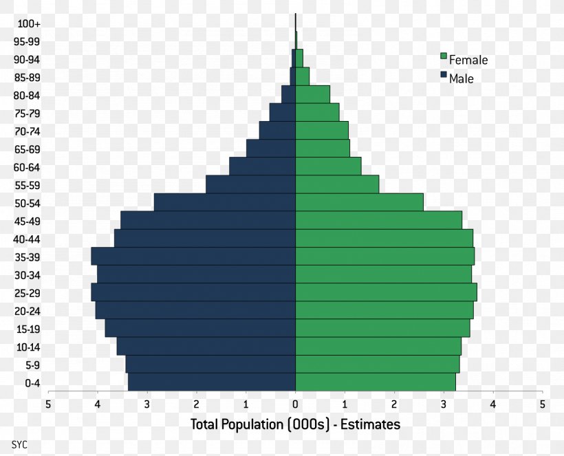 Literacy Rate Statistics 2011 Census Of India Population, PNG, 1588x1285px, Literacy, Birth Rate, Cone, Demographic Statistics, Demography Download Free