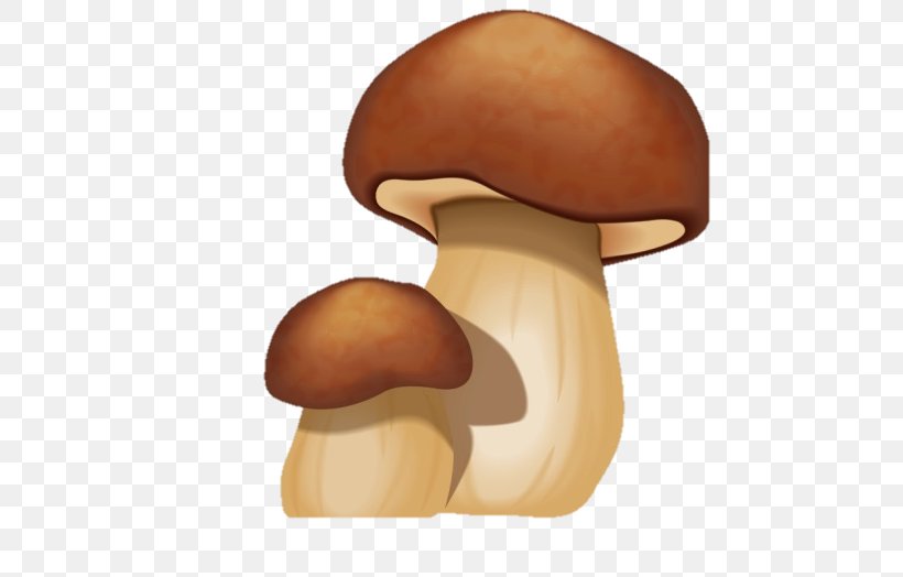 Mushroom Edible Mushroom Agaricomycetes Penny Bun Pleurotus Eryngii, PNG, 588x524px, Mushroom, Agaricaceae, Agaricomycetes, Agaricus, Champignon Mushroom Download Free