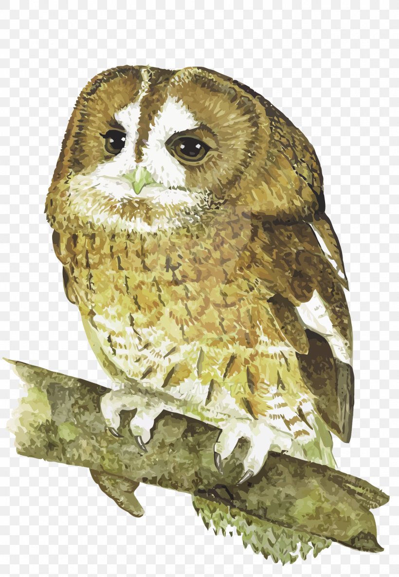Owl Bird, PNG, 1500x2170px, Owl, Beak, Bird, Bird Of Prey, Drawing Download Free