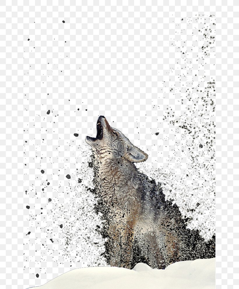 Wolf Totem Gray Wolf Coyote T-shirt, PNG, 658x994px, Wolf Totem, African Wild Dog, Aliexpress, Animal, Black And White Download Free