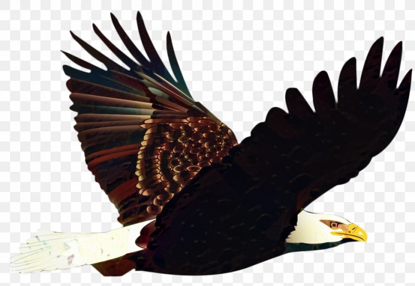 Bird Drawing, PNG, 958x662px, Bald Eagle, Accipitridae, Beak, Bird, Bird Flight Download Free