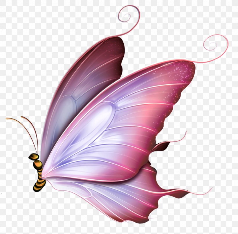Butterfly Drawing Image Clip Art Borboleta, PNG, 912x896px, Butterfly, Abziehtattoo, Applied Arts, Borboleta, Butterflies And Moths Download Free
