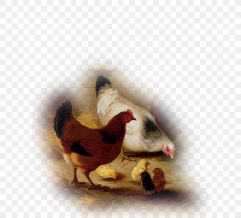 Chicken Rooster Goat Paint Pen, PNG, 600x741px, Chicken, Art, Beak, Bird, Chicken Coop Download Free