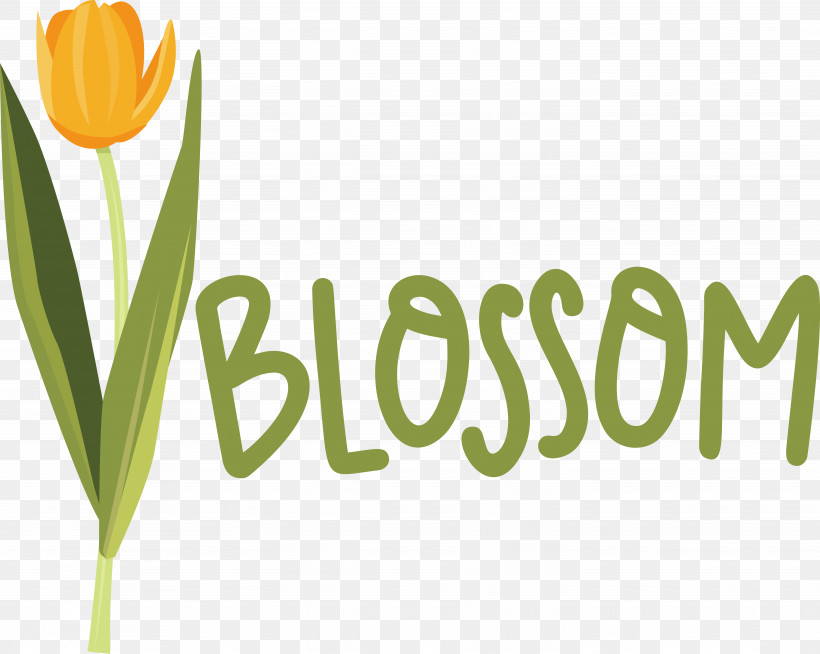 Flower Plant Stem Logo Font Tulip, PNG, 5533x4416px, Flower, Biology, Logo, Meter, Plant Download Free