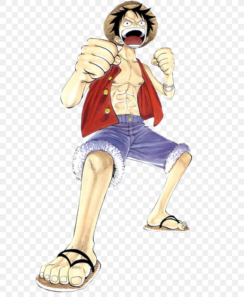 Monkey D Luffy Roronoa Zoro The Art Of Shonen Jump One Piece Color Walk Volume 1