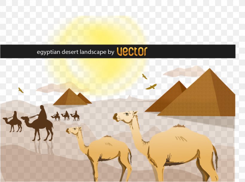 Sahara Desert Landscape Clip Art, PNG, 879x655px, Sahara, Arabian Camel, Camel, Camel Like Mammal, Caravan Download Free