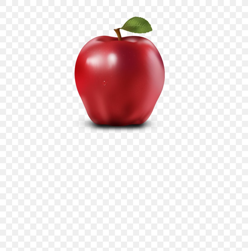 Apple Icon Image Format Icon, PNG, 567x831px, Apple, Apple Icon Image Format, Application Software, Computer, Diet Food Download Free