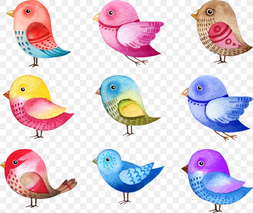 Bird Illustrations Drawing, PNG, 953x804px, Bird, Animal Figure, Beak, Bird Illustrations, Color Download Free