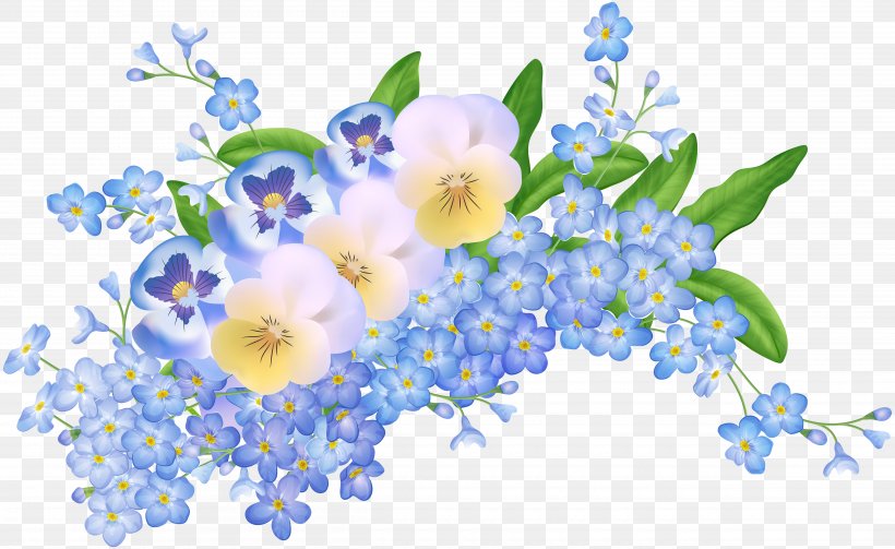 Flower Clip Art, PNG, 5000x3071px, Flower, Art, Blossom, Blue, Borage Family Download Free