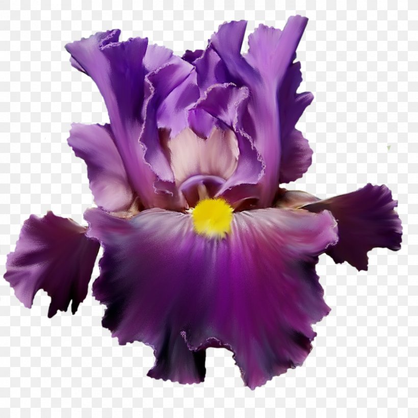 Flower Purple Lilac Watercolor Painting Violet, PNG, 1400x1400px, Flower, Album, Cattleya, Cut Flowers, Floral Design Download Free