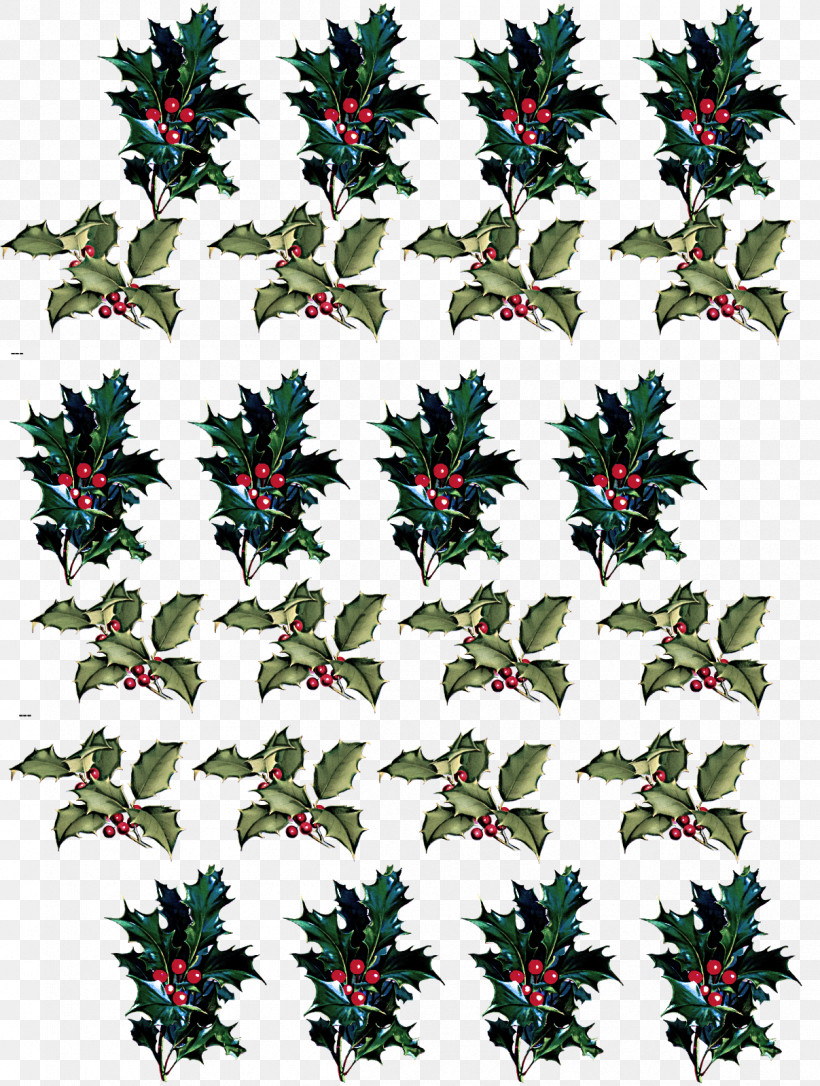 Holly, PNG, 1207x1600px, Flower, Holly, Plant Download Free