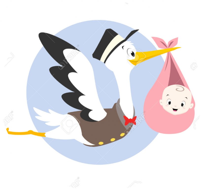 Infant Stork Clip Art, PNG, 1024x968px, Infant, Beak, Bird, Cartoon, Child  Download Free