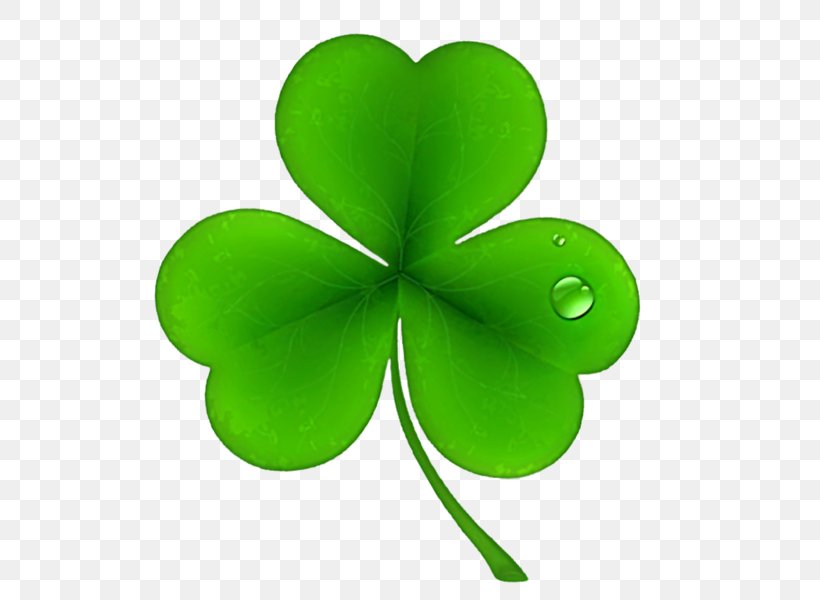 Ireland Saint Patrick's Day National ShamrockFest Public Holiday, PNG, 558x600px, Ireland, Clover, Fourleaf Clover, Green, Holiday Download Free