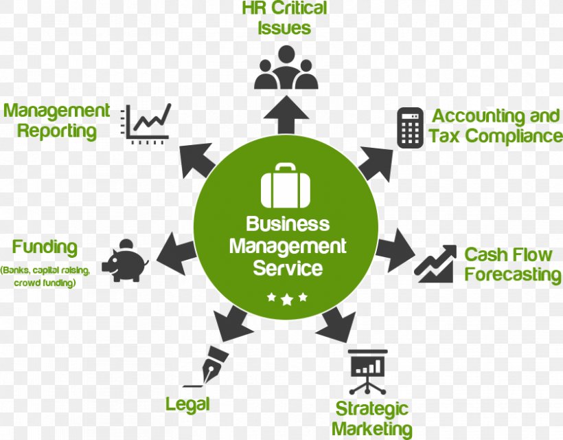 Management Business Service Accounting Outsourcing, PNG, 835x652px, Management, Accounting, Accounting Management, Area, Brand Download Free