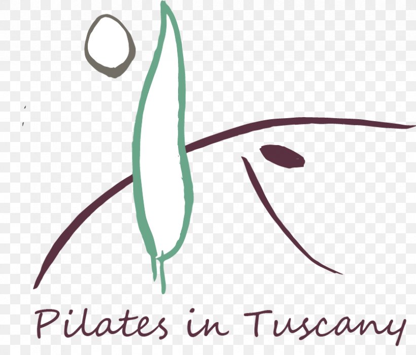 BASI Pilates Italia Pulidori Carlo Via Frascati Sport, PNG, 834x712px, Pilates, Area, Artwork, Diagram, Flower Download Free