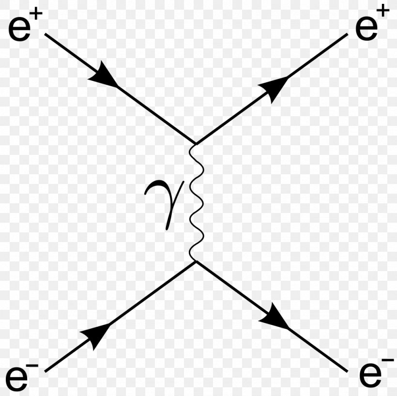 Feynman Diagram Bhabha Scattering Subatomic Particle Electron–positron Annihilation, PNG, 1026x1024px, Feynman Diagram, Area, Beak, Bhabha Scattering, Black Download Free