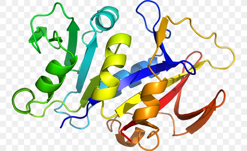 Interleukin-1 Family IL1B Interleukin 1 Receptor, Type I IL1A, PNG, 742x500px, Interleukin1 Family, Area, Artwork, Cluster Of Differentiation, Gene Download Free