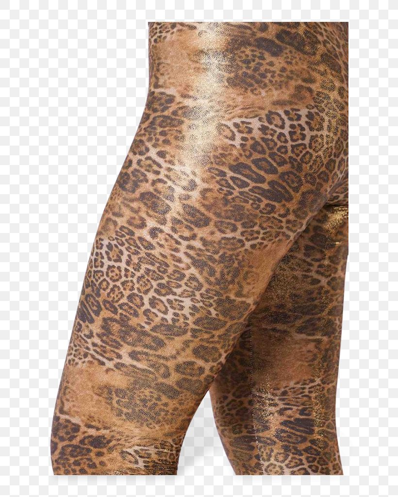 T-shirt Leggings Sisters Point Leopard Woman, PNG, 683x1024px, Tshirt, Blouse, Crop Top, Female, Leggings Download Free